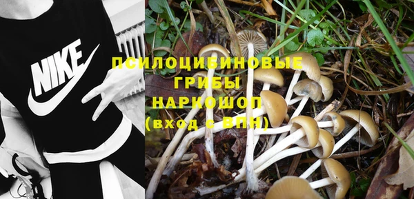 трава Ладушкин
