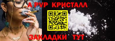 крисы Краснознаменск