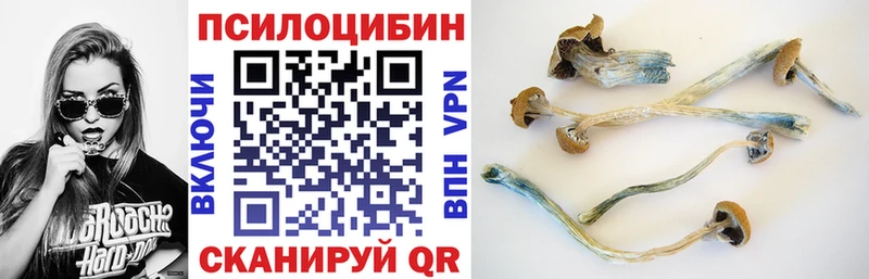 купить наркоту  Ханты-Мансийск  Галлюциногенные грибы мухоморы 