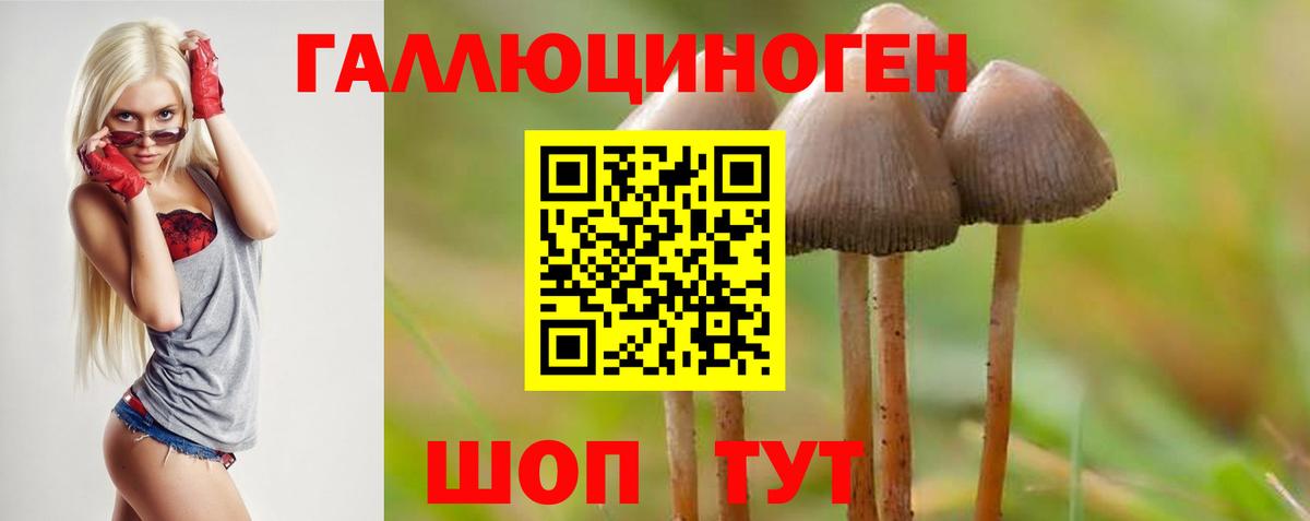 Галлюциногенные грибы GOLDEN TEACHER  Вход с VPN  Псилоцибиновые грибы мухоморы  Ханты-Мансийск 